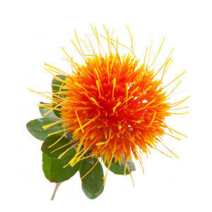 Safflower Seed Oil