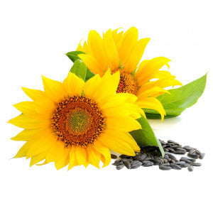 Sunflower Seed Oil