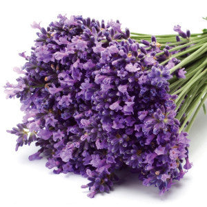 Lovely Lavender Oil!