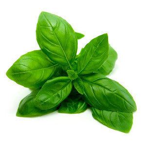 Basil Oil