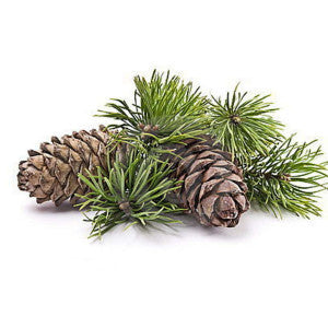 Pine Needle Oil