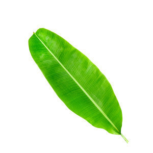 Plaintain Leaf Powder